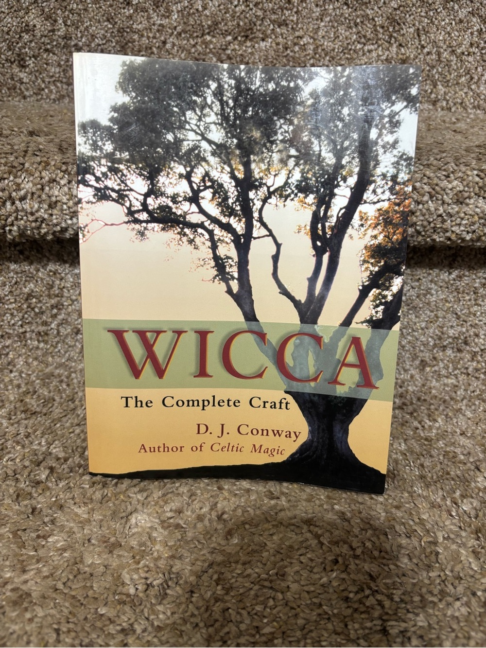 Wicca